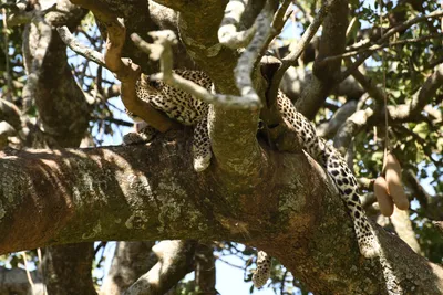 DSC_3947 (Large).JPG